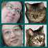 Travels With Our Cats Travels With our Cats